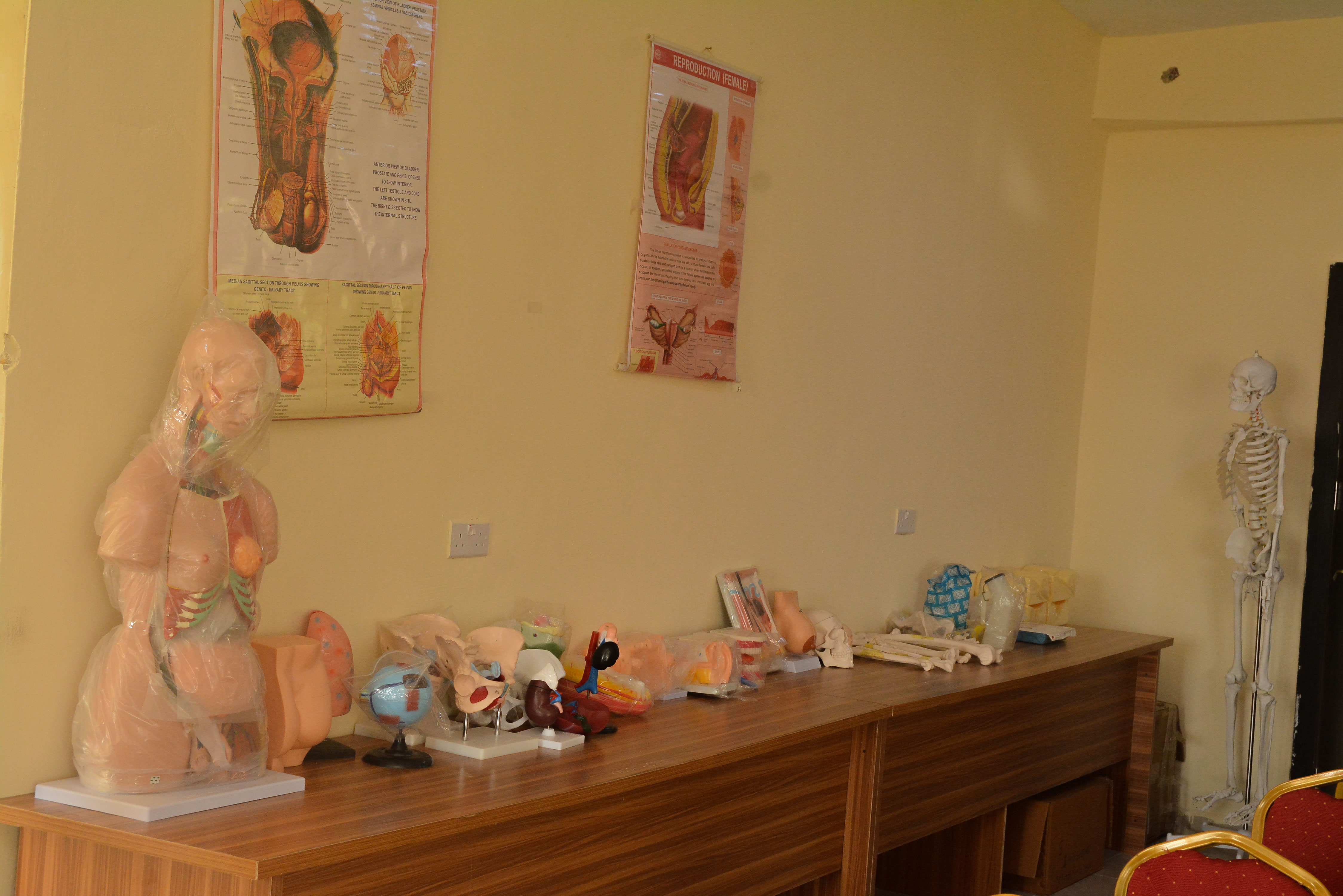 Anatomy Lab